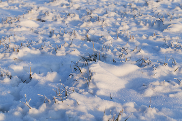 Image showing Snow drifts in winter