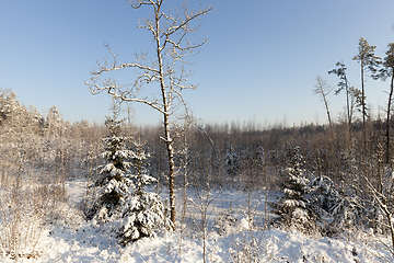 Image showing Snow drifts in winter