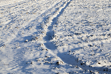 Image showing Footprints in the snow