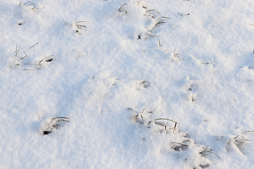 Image showing Snow drifts in winter