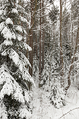 Image showing Winter landscape, snowfall