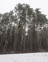 Image showing Snow drifts in winter