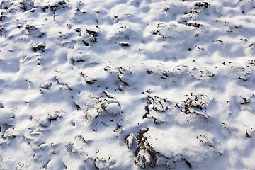 Image showing land covered with snow, close-up