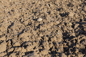 Image showing the soil in the field