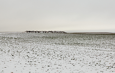 Image showing Snow drifts in winter