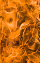 Image showing orange flames