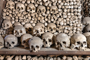 Image showing Human skulls and bones in ossuary Sedlec Kostnice