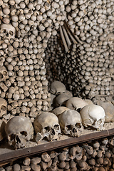 Image showing Human skulls and bones in ossuary Sedlec Kostnice