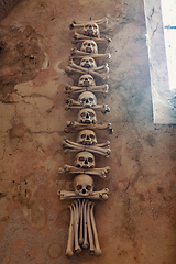 Image showing Human skulls and bones in ossuary Sedlec Kostnice