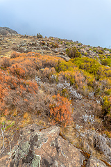 Image showing landscape of Bale Mountain