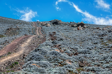 Image showing landscape of Bale Mountain