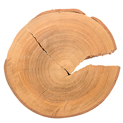 Image showing Wood log slice