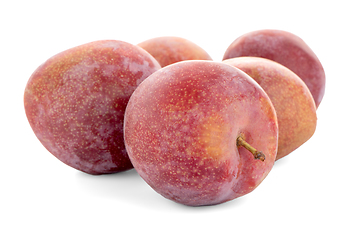 Image showing Red ripe plums