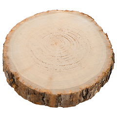 Image showing Wood log slice