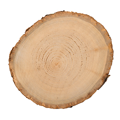 Image showing Wood log slice