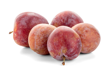 Image showing Red ripe plums