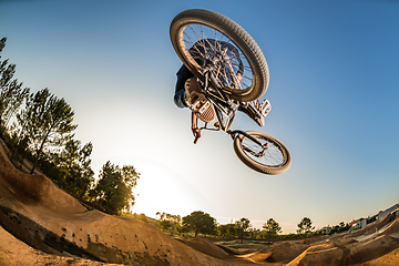 Image showing BMX Bike Stunt Table Top