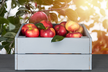 Image showing Red apples in wooden box on table