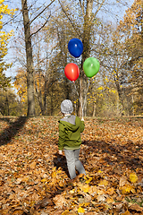 Image showing boy in park