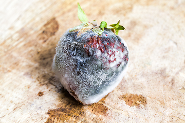 Image showing Rotten strawberry