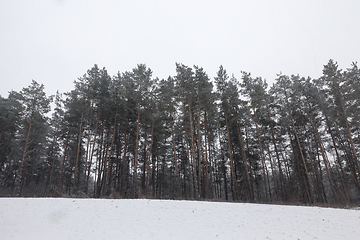 Image showing Snow drifts in winter