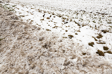 Image showing Snow drifts in winter