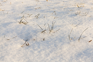 Image showing Snow drifts in winter