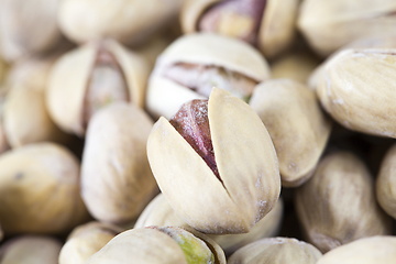 Image showing Delicious fried salted pistachios