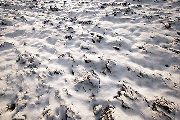 Image showing Snow drifts on the ground