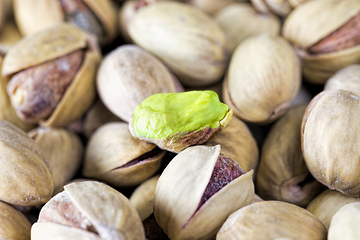 Image showing Delicious fried salted pistachios