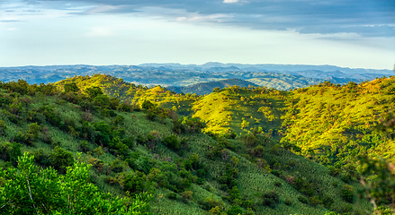 Image showing Mago National Park, Omo Valley, Etiopia