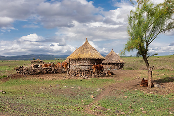 Image showing mountain landscape with farm, Ethiopia