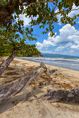 Image showing paradise beach in maloala, Madagascar