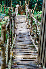 Image showing Wooden Bridge in rainforest Landscape, Madagascar