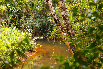 Image showing Madagascar traditional wilderness landscape