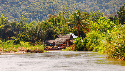 Image showing Madagascar traditional wilderness landscape