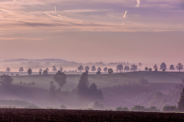 Image showing Fall foggy and misty sunrise landscape