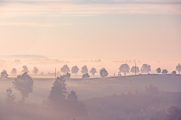 Image showing Fall foggy and misty sunrise landscape