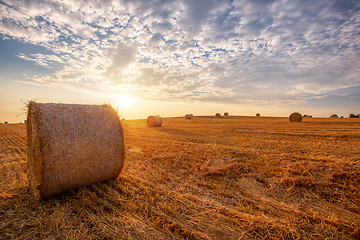 Image showing harvested field with straw bales in summer