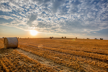 Image showing harvested field with straw bales in summer