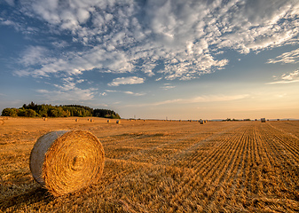 Image showing harvested field with straw bales in summer