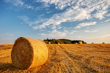 Image showing harvested field with straw bales in summer