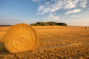 Image showing harvested field with straw bales in summer