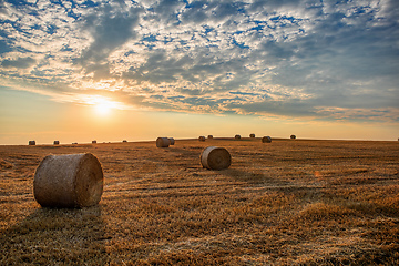 Image showing harvested field with straw bales in summer