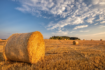 Image showing harvested field with straw bales in summer