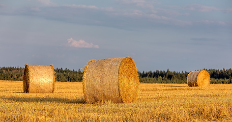 Image showing harvested field with straw bales in summer