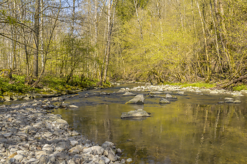 Image showing waterside scenery at spring time