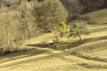 Image showing rural landscape in Hohenlohe