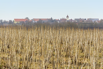 Image showing Uebrigshausen in Hohenlohe