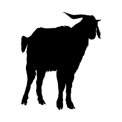Image showing Goat Silhouette